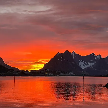 Lejlighed Huset Ved Fergekaien På *