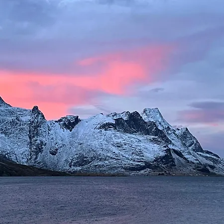 Huset Ved Fergekaien På Lejlighed Moskenes